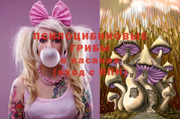 прущая мука Алагир