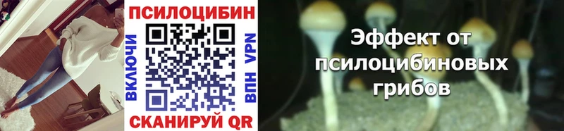 Псилоцибиновые грибы мицелий  Купить  Мончегорск 